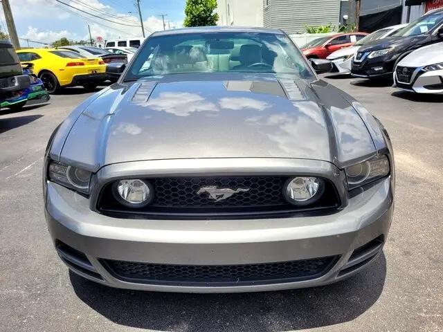 used 2014 Ford Mustang car