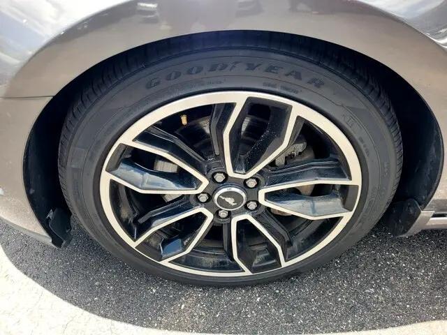 used 2014 Ford Mustang car