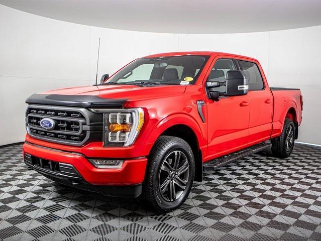 used 2022 Ford F-150 car