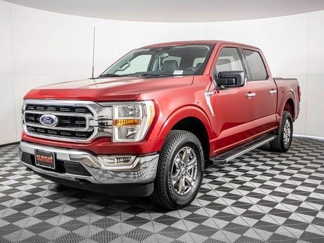 used 2022 Ford F-150 car