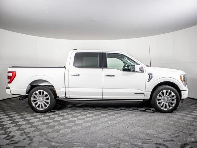 used 2021 Ford F-150 car