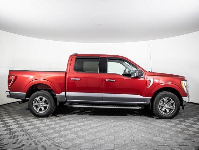 used 2021 Ford F-150 car