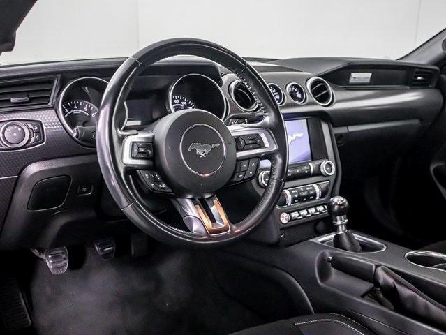 used 2022 Ford Mustang car