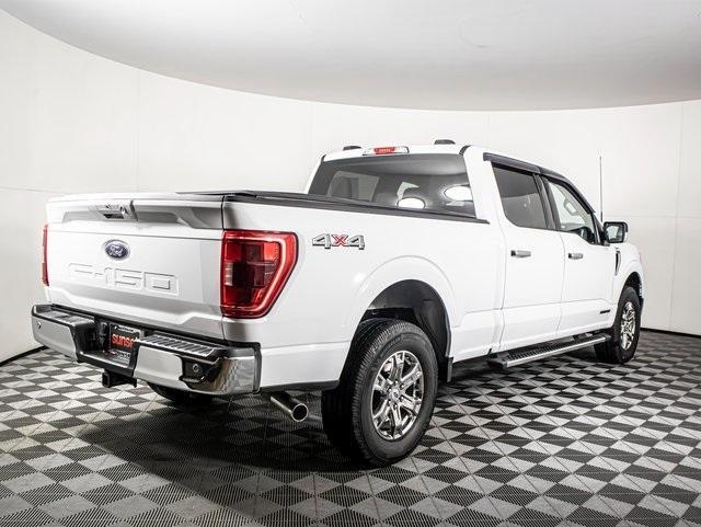 used 2023 Ford F-150 car