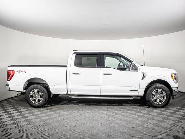 used 2023 Ford F-150 car