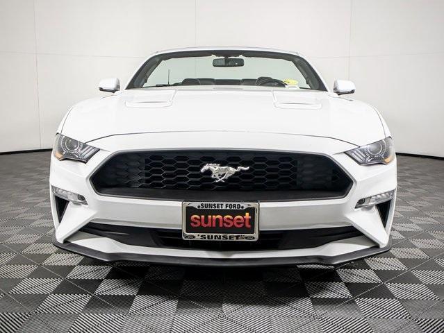 used 2019 Ford Mustang car
