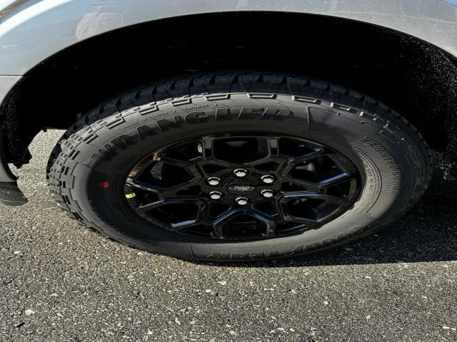 new 2025 Ford F-150 car, priced at $53,500