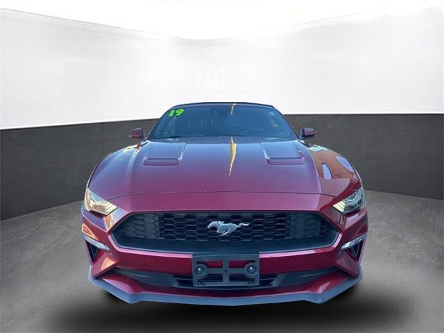 used 2019 Ford Mustang car, priced at $18,500