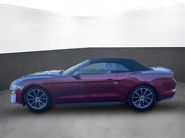 used 2019 Ford Mustang car, priced at $18,500