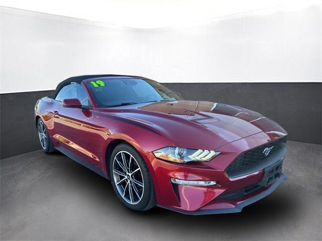 used 2019 Ford Mustang car, priced at $18,500