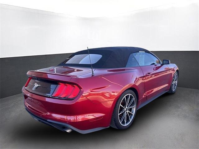 used 2019 Ford Mustang car, priced at $18,500