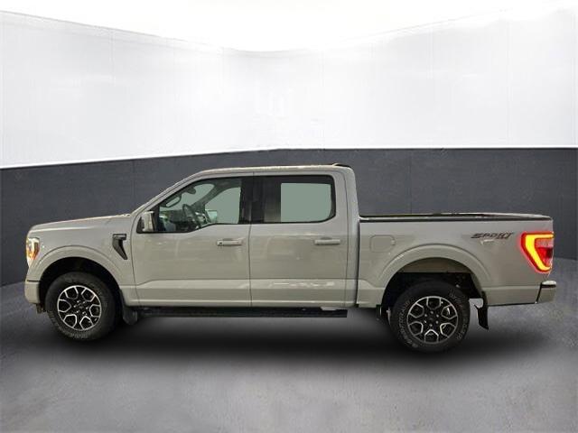 used 2021 Ford F-150 car, priced at $45,500