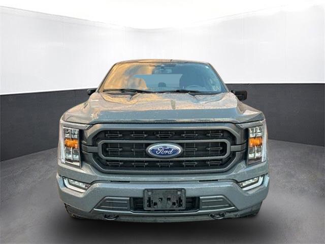 used 2021 Ford F-150 car, priced at $38,000