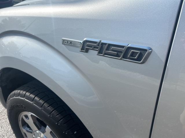 used 2010 Ford F-150 car, priced at $10,000