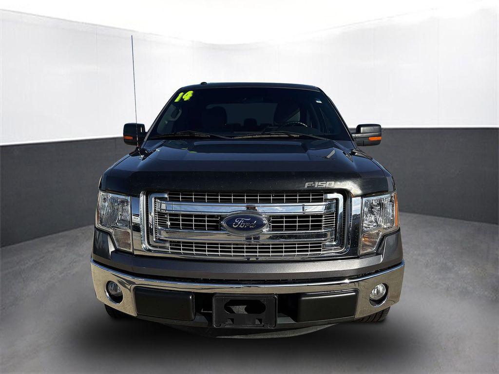 used 2014 Ford F-150 car, priced at $19,000