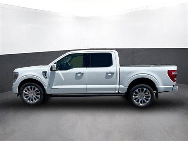 used 2021 Ford F-150 car, priced at $49,500