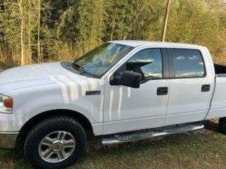 used 2006 Ford F-150 car