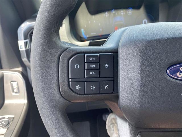 new 2025 Ford F-150 car, priced at $47,025