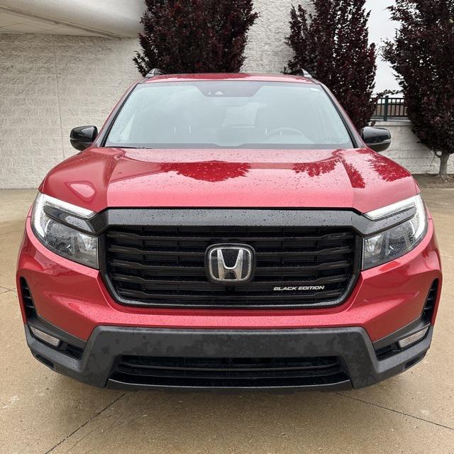 used 2025 Honda Passport car, priced at $45,190