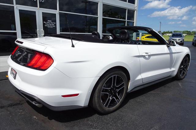 used 2022 Ford Mustang car, priced at $19,990