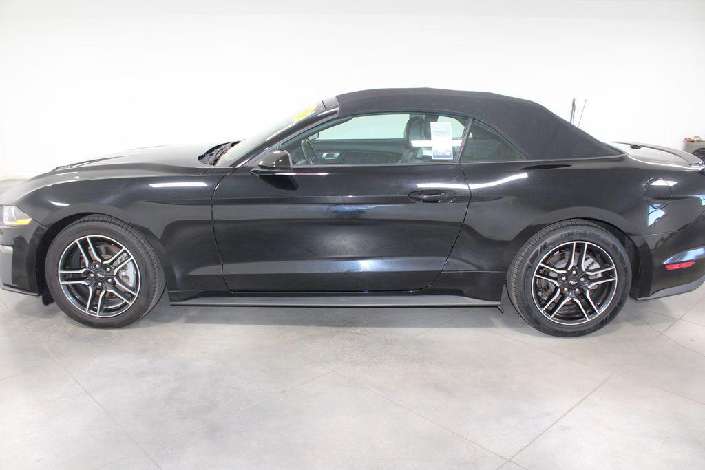 used 2023 Ford Mustang car, priced at $25,000