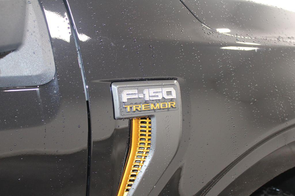 new 2025 Ford F-150 car, priced at $75,679