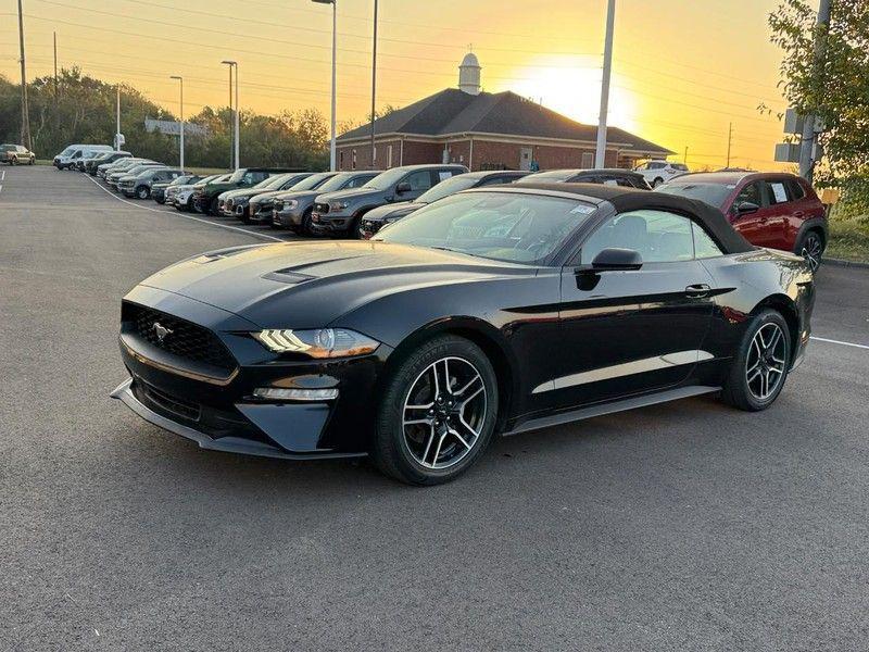 used 2023 Ford Mustang car, priced at $22,895