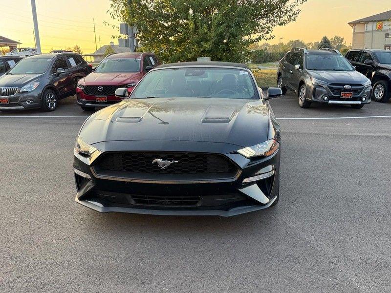 used 2023 Ford Mustang car, priced at $22,895
