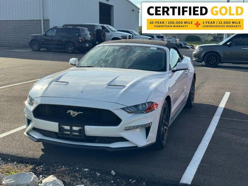 used 2023 Ford Mustang car, priced at $24,399