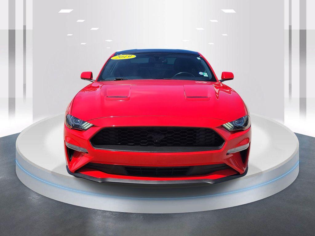 used 2019 Ford Mustang car, priced at $20,488