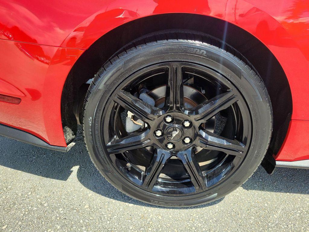 used 2019 Ford Mustang car, priced at $20,488