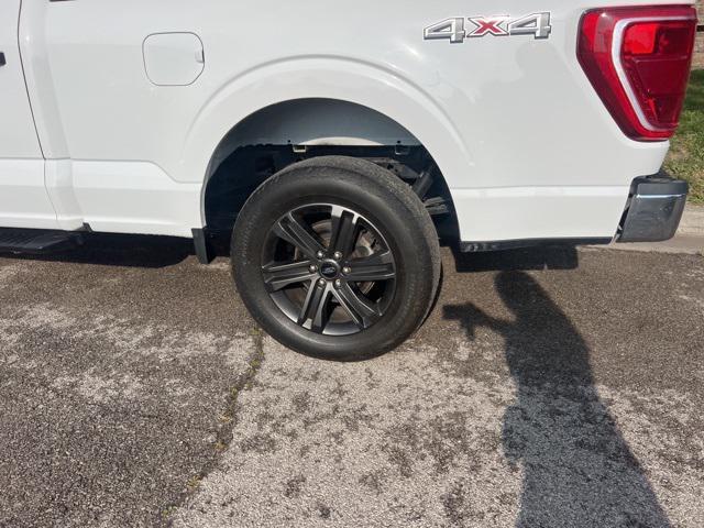 used 2021 Ford F-150 car, priced at $36,531