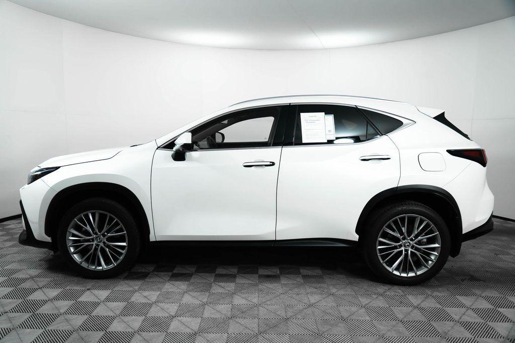 used 2024 Lexus NX 350 car, priced at $46,000