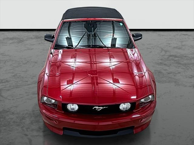 used 2008 Ford Mustang car, priced at $12,575