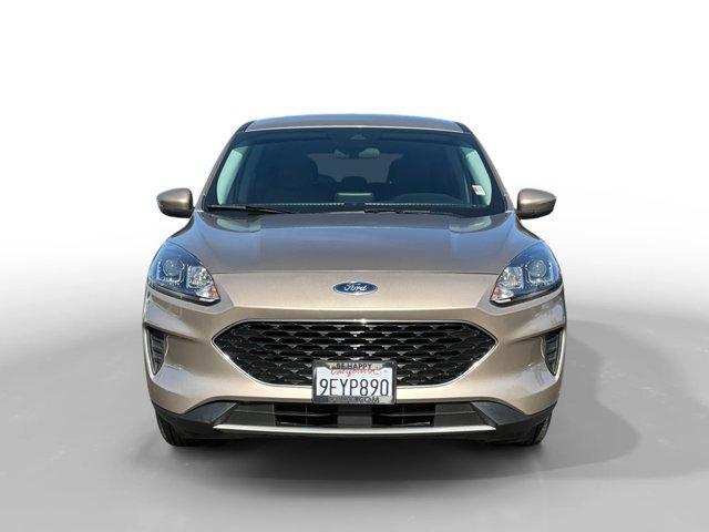 used 2021 Ford Escape car, priced at $15,888