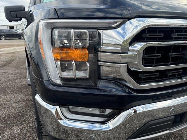 used 2021 Ford F-150 car, priced at $36,700