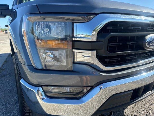 used 2023 Ford F-150 car, priced at $39,000