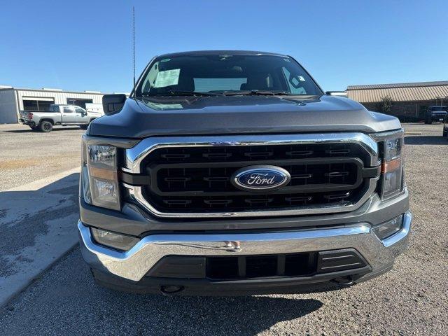 used 2023 Ford F-150 car, priced at $39,000