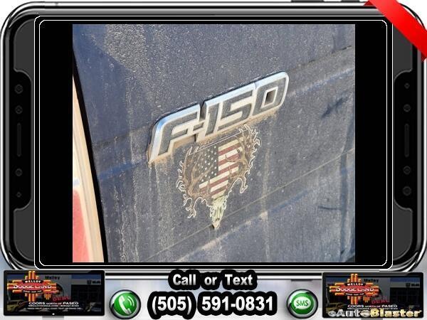 used 2010 Ford F-150 car