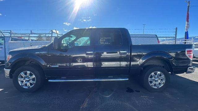 used 2014 Ford F-150 car, priced at $21,984