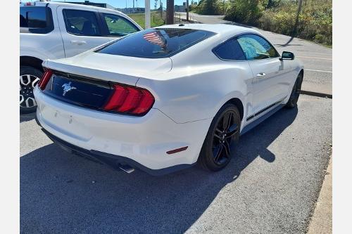 used 2019 Ford Mustang car, priced at $21,096