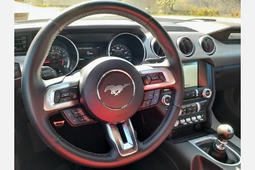 used 2019 Ford Mustang car, priced at $21,096