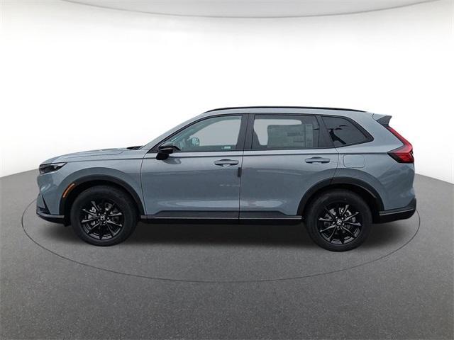 new 2025 Honda Accord car, priced at $30,274