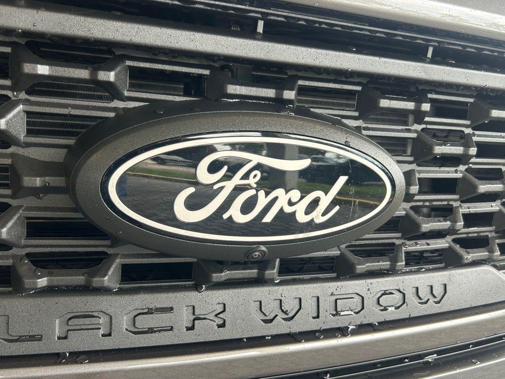 new 2025 Ford F-150 car, priced at $106,995