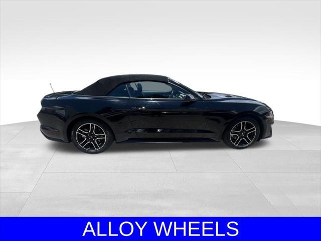 used 2022 Ford Mustang car, priced at $25,331