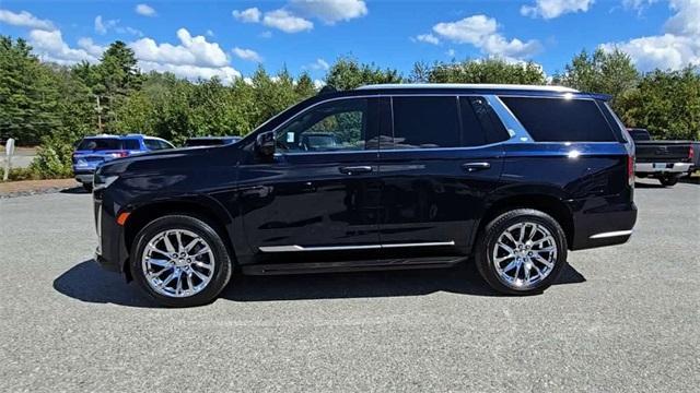 used 2021 Cadillac Escalade car, priced at $52,999
