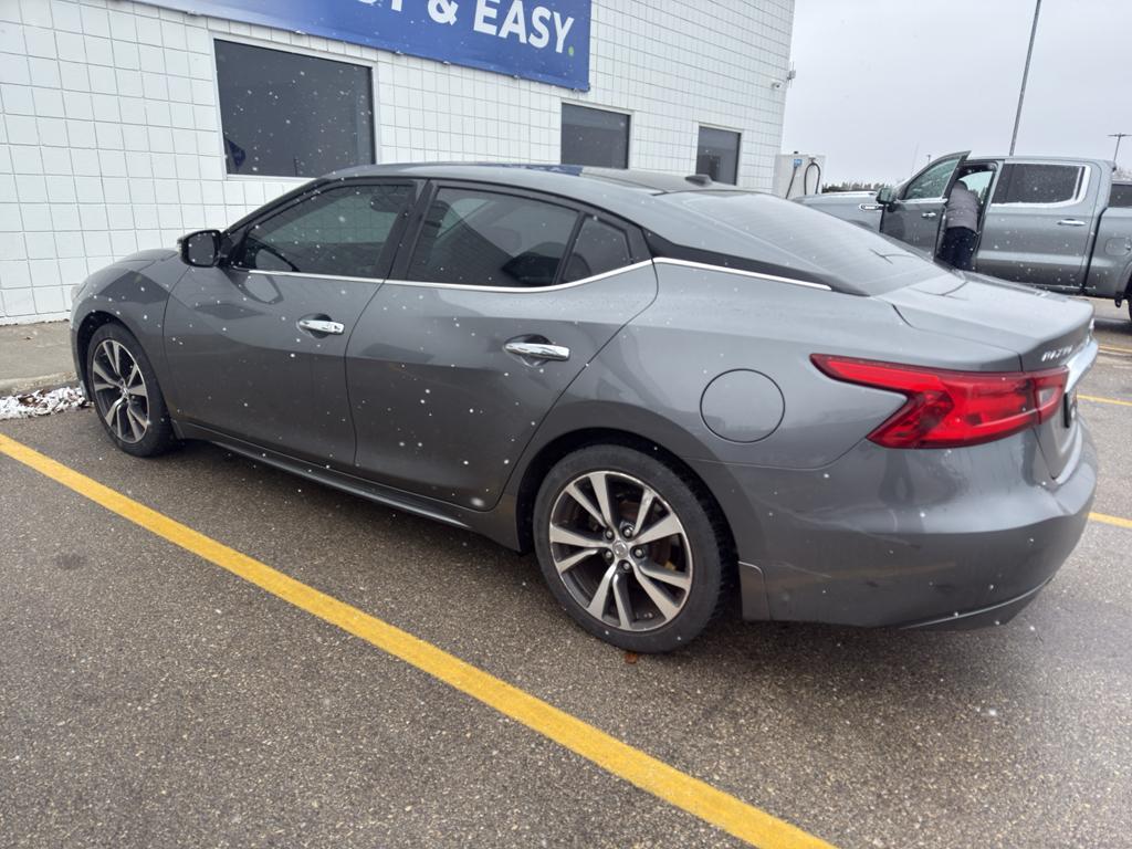 used 2017 Nissan Maxima car, priced at $14,499