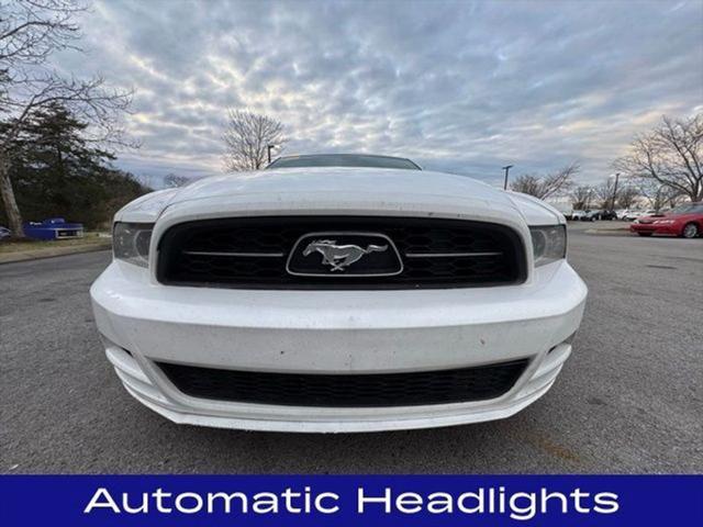 used 2014 Ford Mustang car