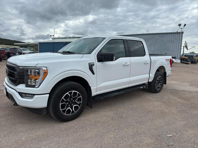 used 2023 Ford F-150 car