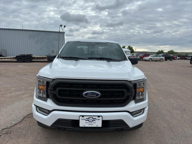 used 2023 Ford F-150 car